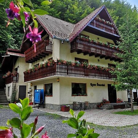 Hotel Raza Soarelui à Moeciu De Sus Extérieur photo