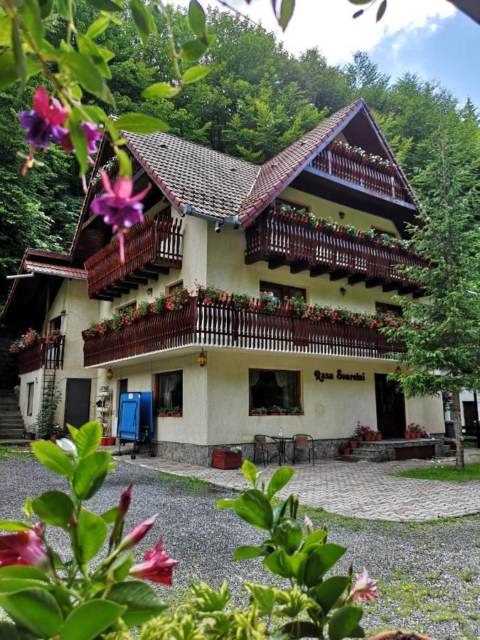 Hotel Raza Soarelui à Moeciu De Sus Extérieur photo