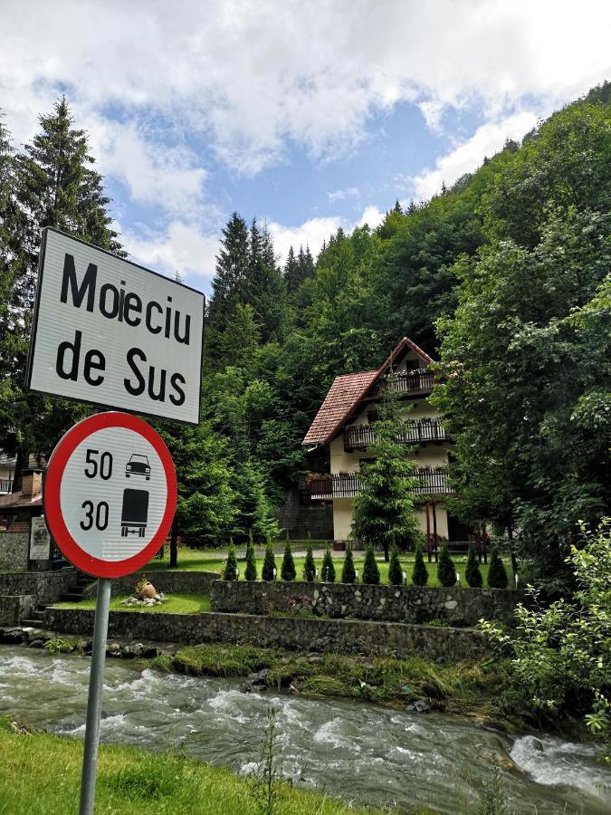 Hotel Raza Soarelui à Moeciu De Sus Extérieur photo