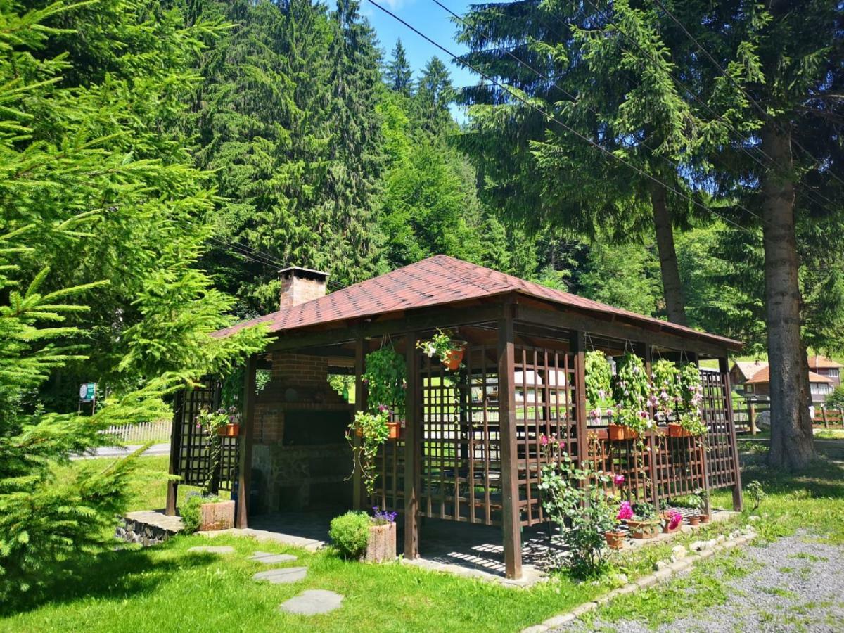 Hotel Raza Soarelui à Moeciu De Sus Extérieur photo