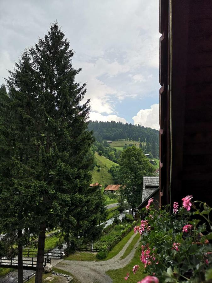 Hotel Raza Soarelui à Moeciu De Sus Extérieur photo